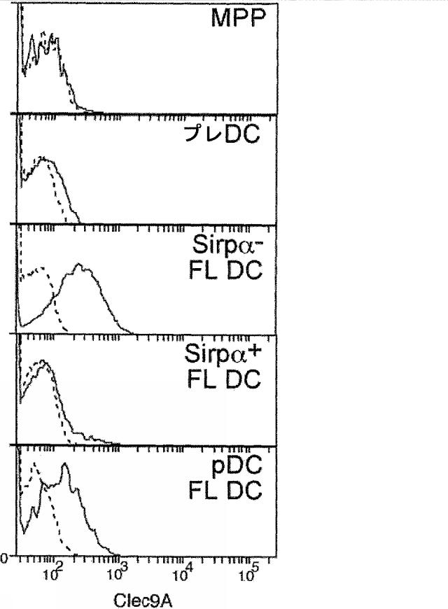 6095616-樹状細胞マーカーおよびその使用法 図000027