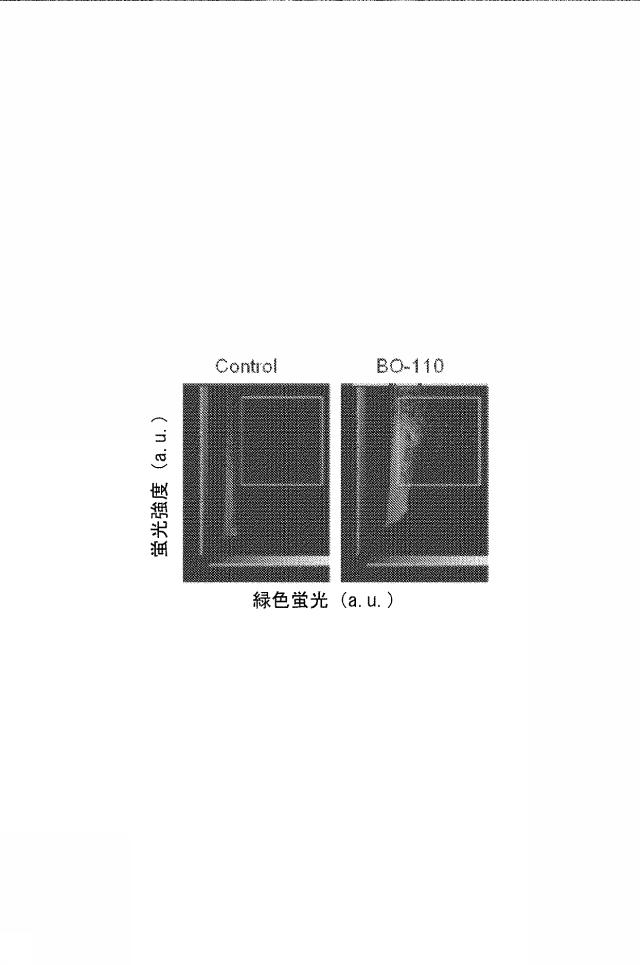 6222749-医薬組成物及びその使用 図000027