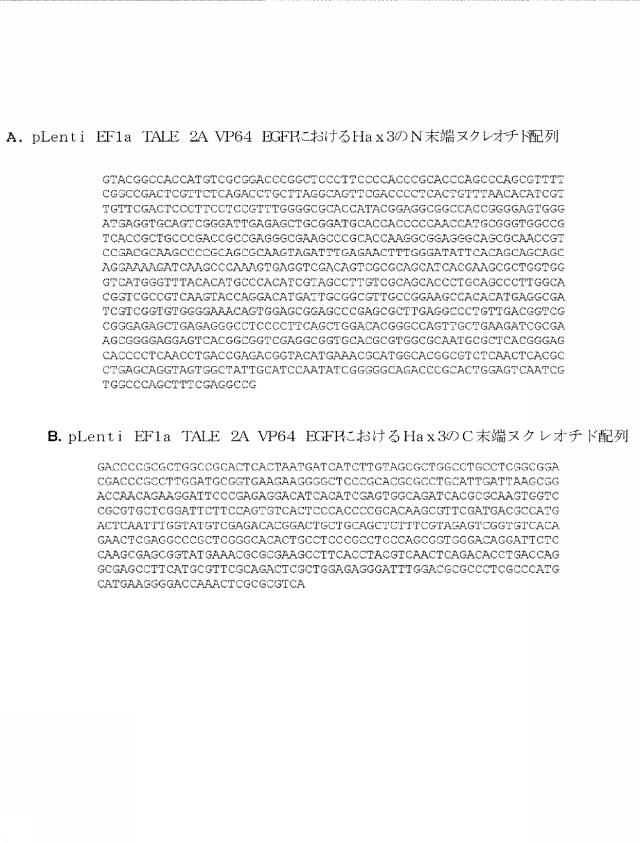 6259766-フラタキシンレベルを増加させる方法および生成物ならびにその使用 図000027