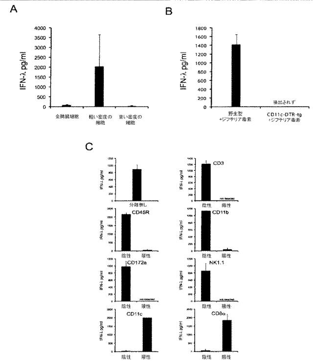 6263559-従来型樹状細胞によるＩＦＮ‐ラムダの産生及びその使用 図000027