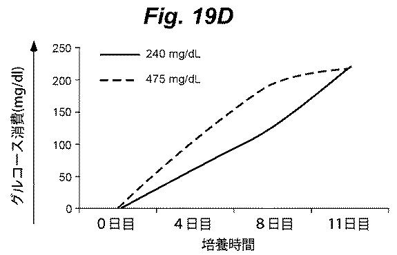 6386447-養子細胞療法のための改良された細胞培養法 図000027