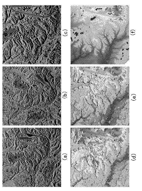 6421395-ＳＡＲ図からの立体地形図形成方法 図000027