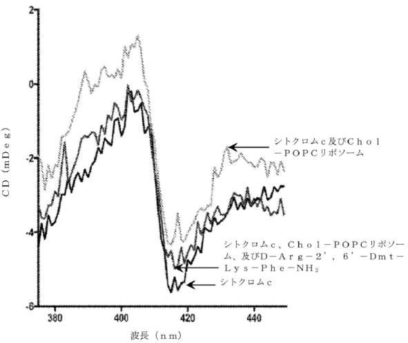 6480921-コレステロール誘発性ミトコンドリア機能不全を治療するための芳香族カチオン性ペプチドの使用 図000027