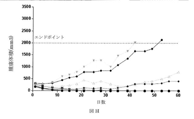 6550400-レナリドミド及びポリペプチド構築物の組合せ、及びその使用 図000027