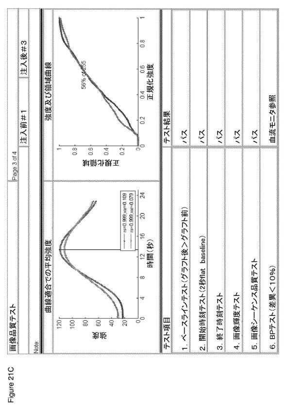 6561180-血管造影及びかん流の定量化並びに解析手法 図000027