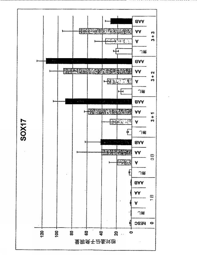 6595041-ＰＤＸ１発現背側及び腹側前腸内胚葉 図000027