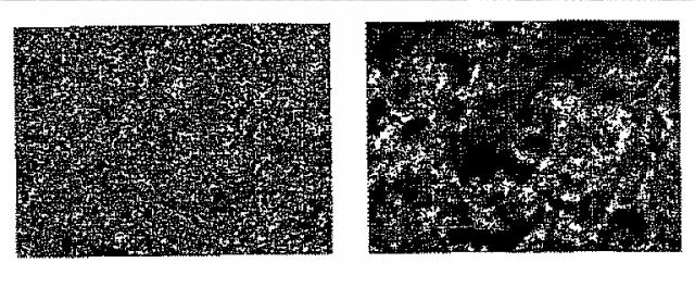 6651489-ナノ粒子状の形態における生物学的に活性な化合物の調製のための方法 図000027