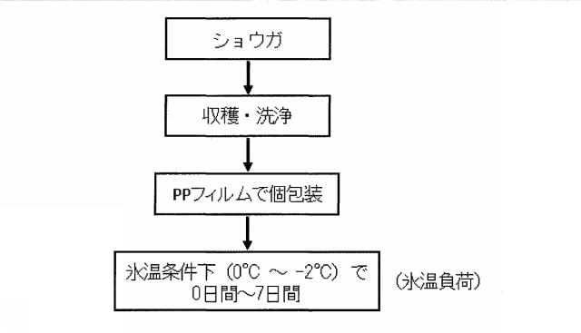 6670154-生鮮食材の抗酸化能増強方法及びその高鮮度流通方法 図000027