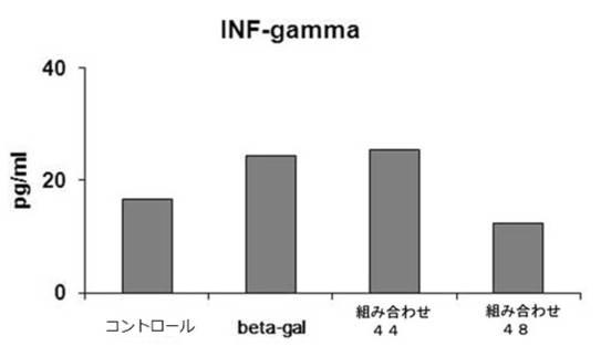 6727381-ＨＰＶ感染に係わる癌の治療用組成物 図000027