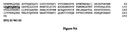 6760849-二重特異性ＣＤ３３およびＣＤ３結合タンパク質 図000027