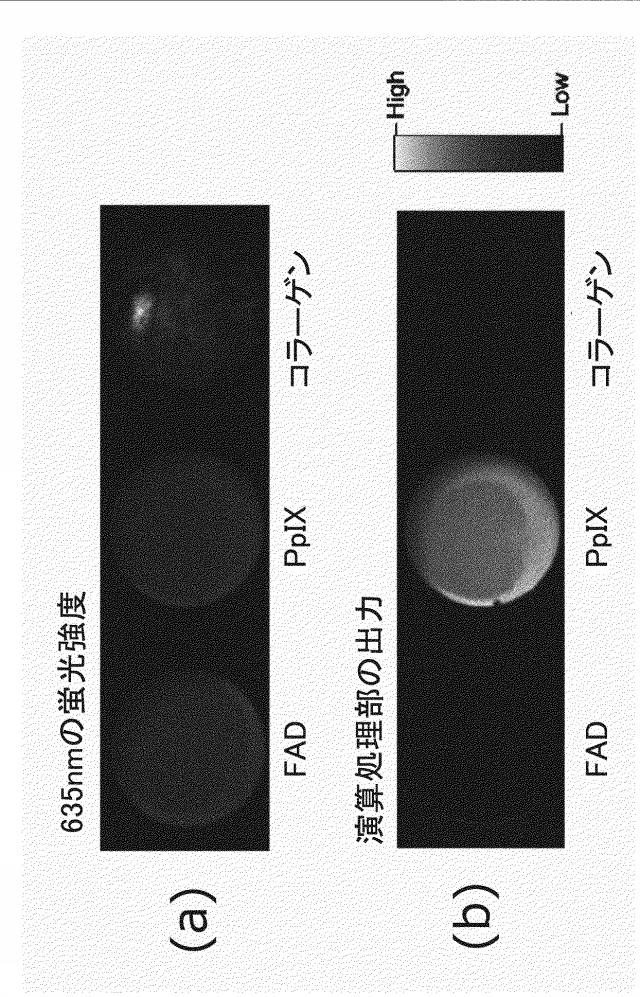 6762703-腫瘍部位の判別のための方法、腫瘍部位の判別装置 図000027