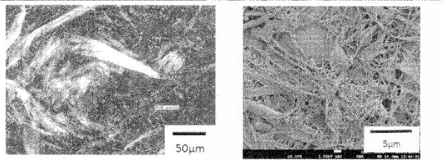 6775160-疎水化セルロース系繊維用の解繊助剤、それを使用する樹脂組成物の製造方法並びに成形体 図000027