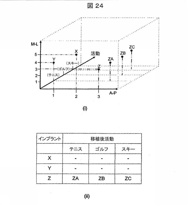 6979445-患者の関節用の整形外科インプラントの位置合わせをモデル化するためのコンピュータ装置の作動方法およびコンピュータ装置 図000027