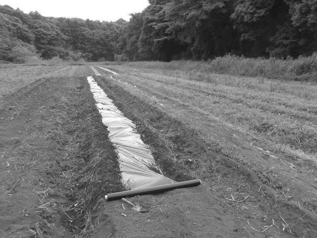 5770897-大気中の常在菌を活用し無肥料および無農薬で野菜を栽培する畑の造成方法 図000028