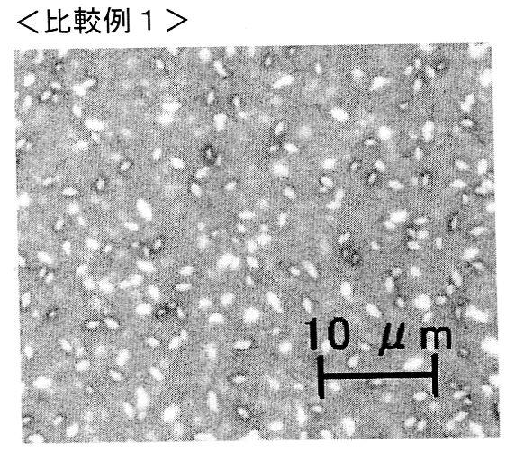 5834389-カラーフィルタ用樹脂組成物、カラーフィルタ、並びに液晶表示装置 図000028