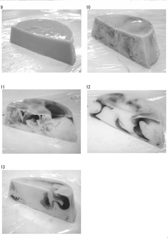 5836175-ゲル状食品およびその製造方法 図000028