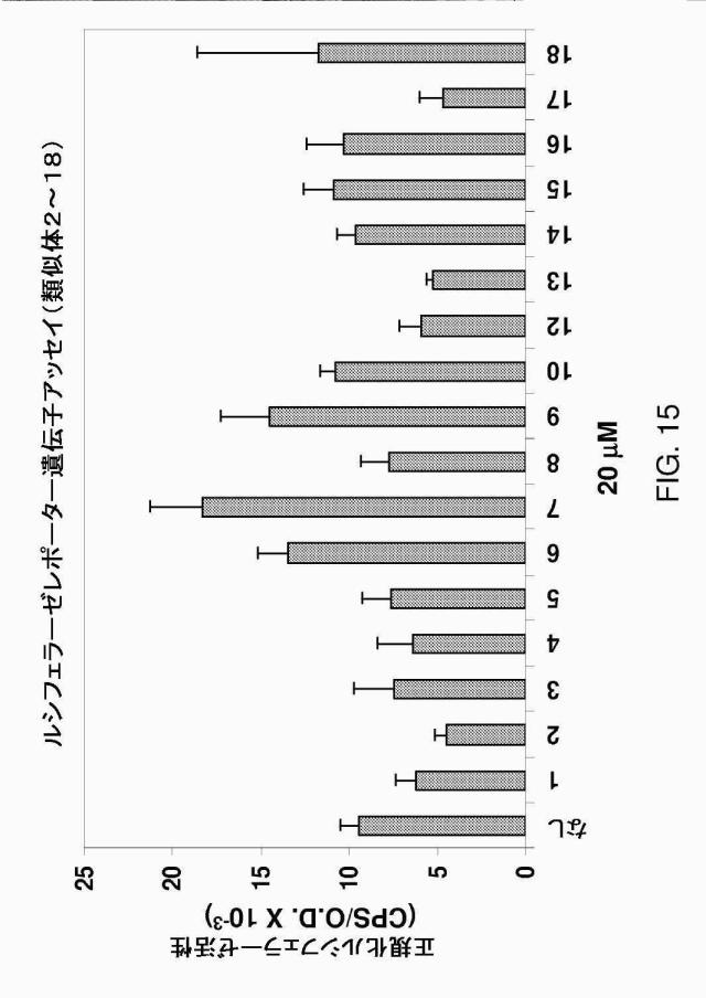 5878937-代謝障害を処置するための組成物および方法 図000028