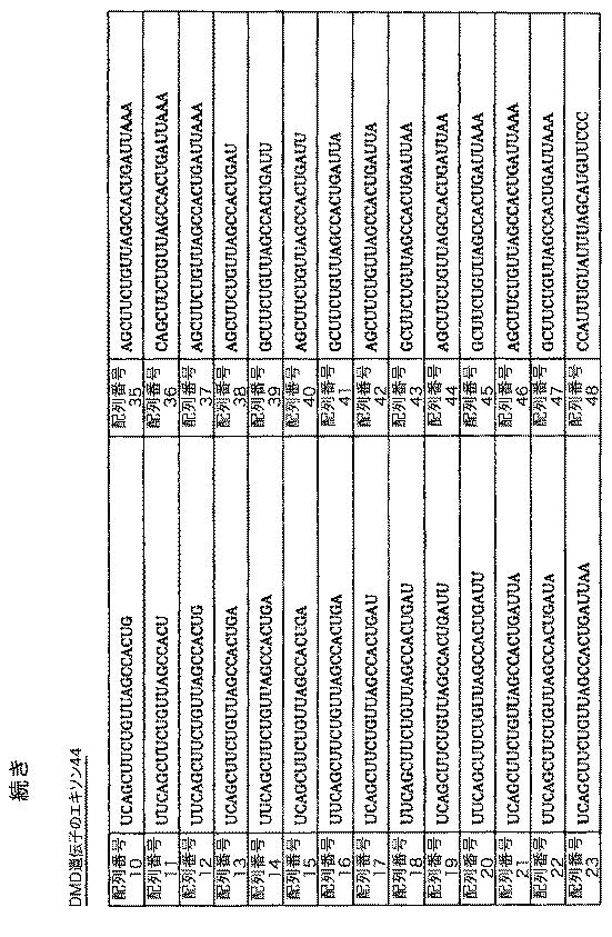 5879374-筋障害を相殺するための手段と方法 図000028