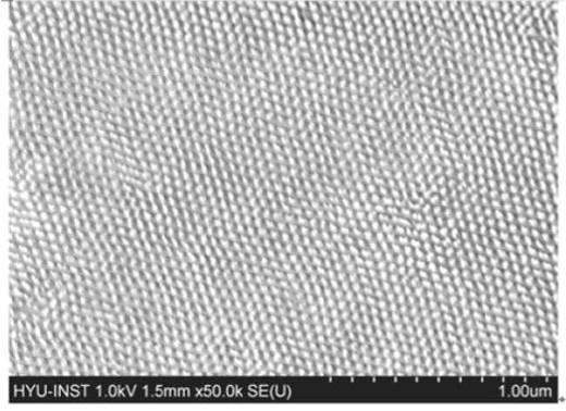 6042986-シリコンオキサイドのナノパターン形成方法、金属ナノパターンの形成方法およびこれを用いた情報貯蔵用磁気記録媒体 図000028