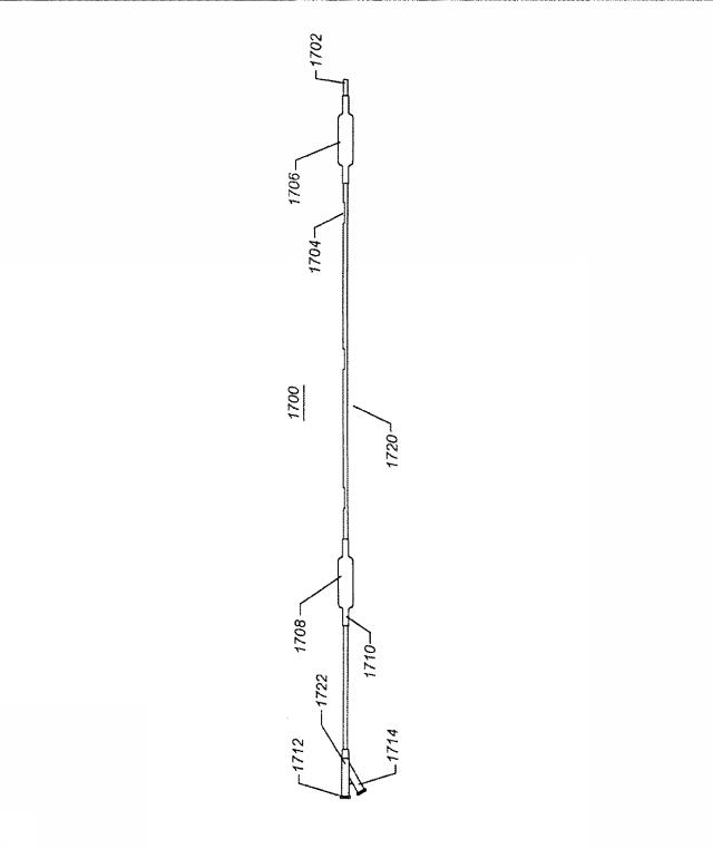 6069392-拡張可能な腸骨シースと使用方法 図000028