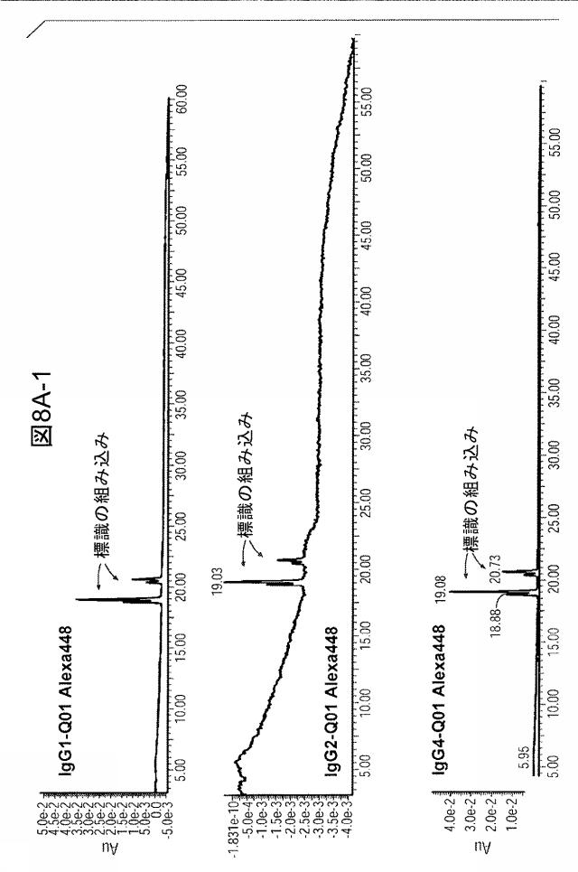 6105477-操作されたポリペプチドコンジュゲートおよびトランスグルタミナーゼを用いてそれを作製する方法 図000028