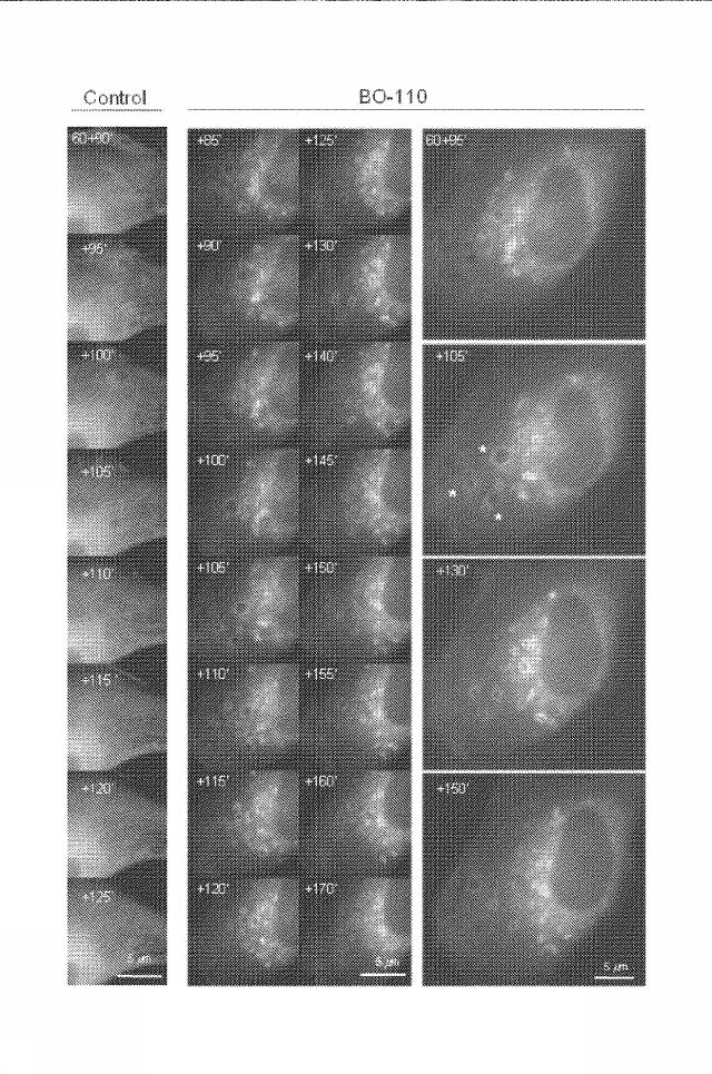 6222749-医薬組成物及びその使用 図000028