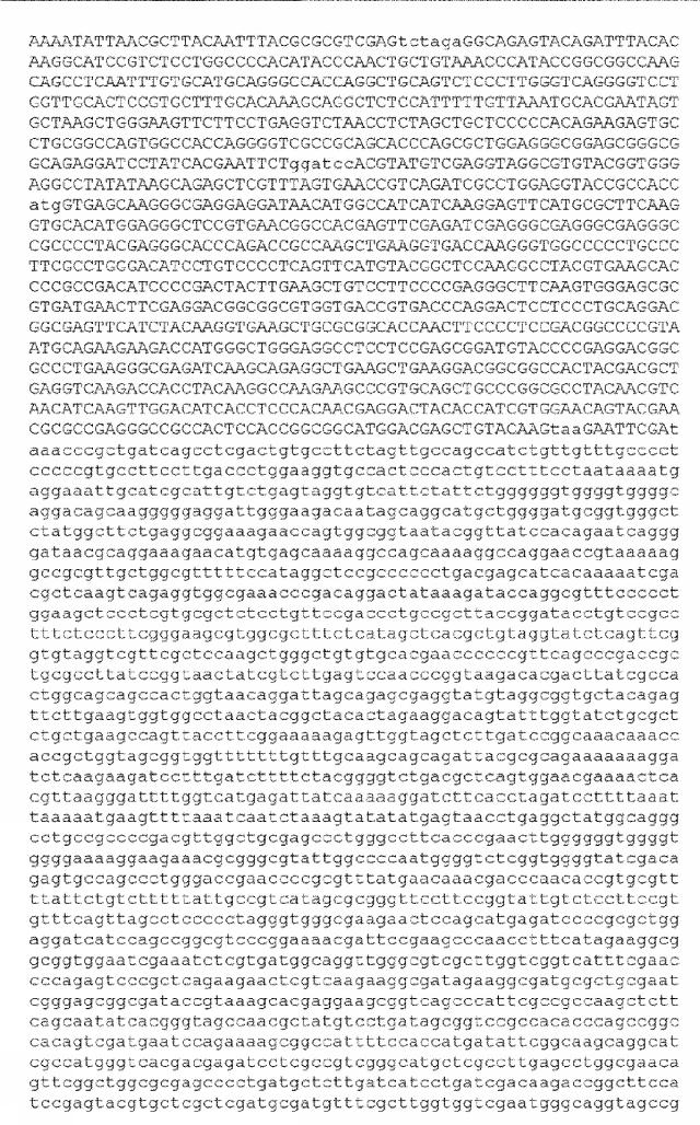 6259766-フラタキシンレベルを増加させる方法および生成物ならびにその使用 図000028