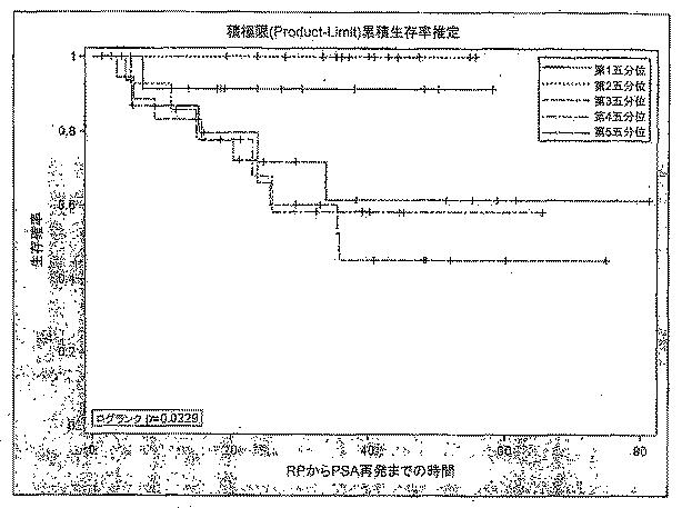 6383743-ＥＲＧ遺伝子発現における前立腺癌特異的変化ならびにそれらの変化に基づく検出および治療方法 図000028