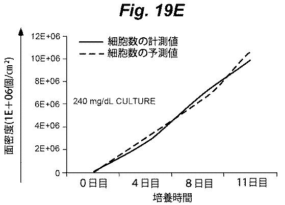 6386447-養子細胞療法のための改良された細胞培養法 図000028