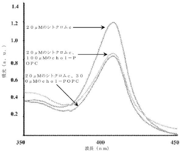 6480921-コレステロール誘発性ミトコンドリア機能不全を治療するための芳香族カチオン性ペプチドの使用 図000028