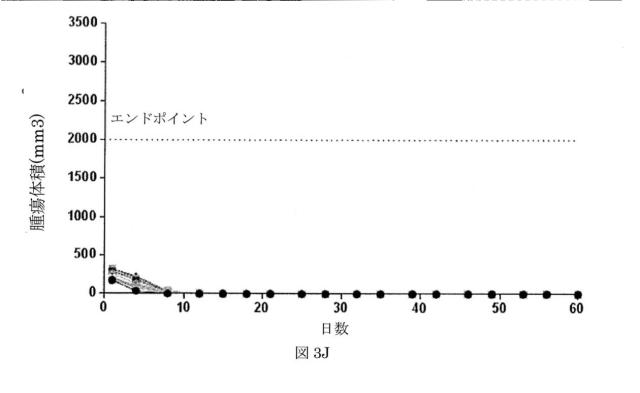 6550400-レナリドミド及びポリペプチド構築物の組合せ、及びその使用 図000028