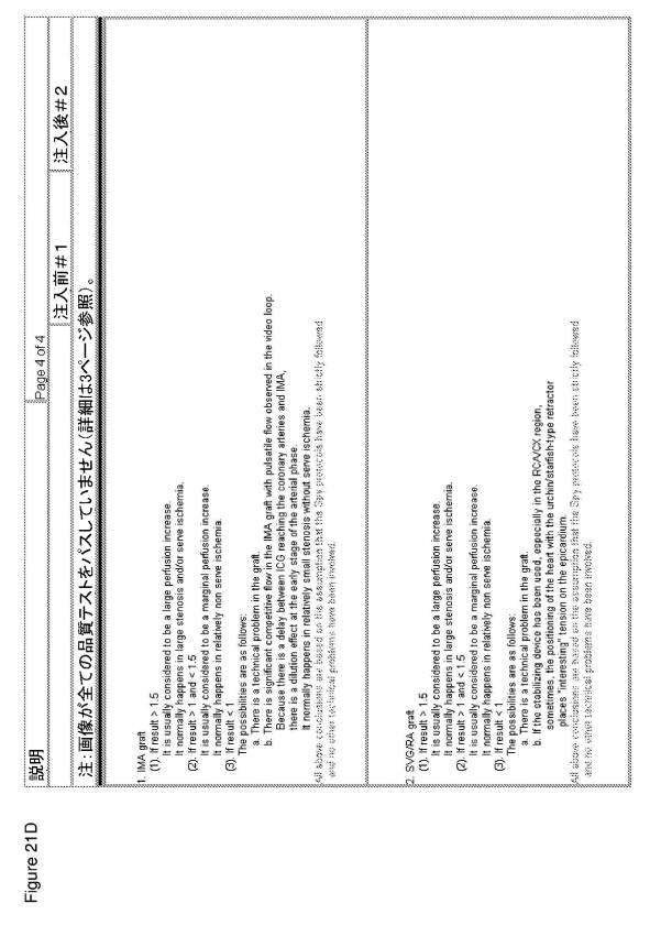 6561180-血管造影及びかん流の定量化並びに解析手法 図000028