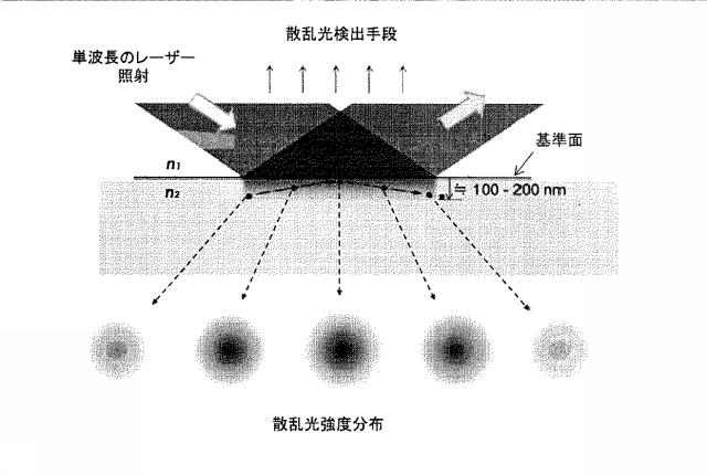 6607607-微粒子の３Ｄ位置特定装置及び特定方法 図000028