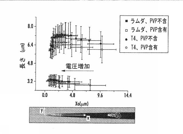 6633682-流体ナノファンネルを有する装置、関連する方法、製造及び解析システム 図000028