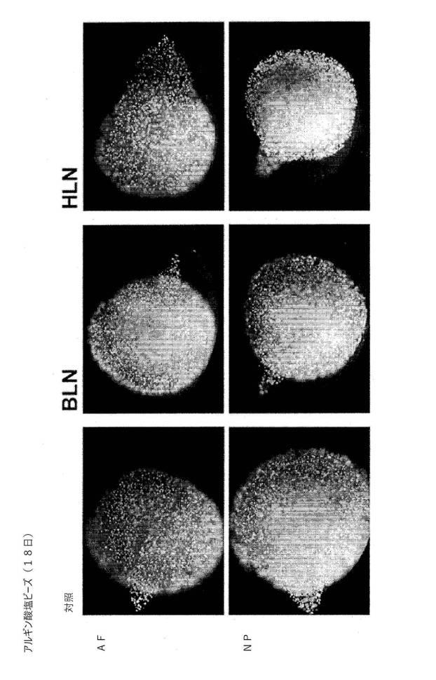 6700182-軟骨及び椎間板組織病理の治療のためのポリペプチド及び組成物 図000028