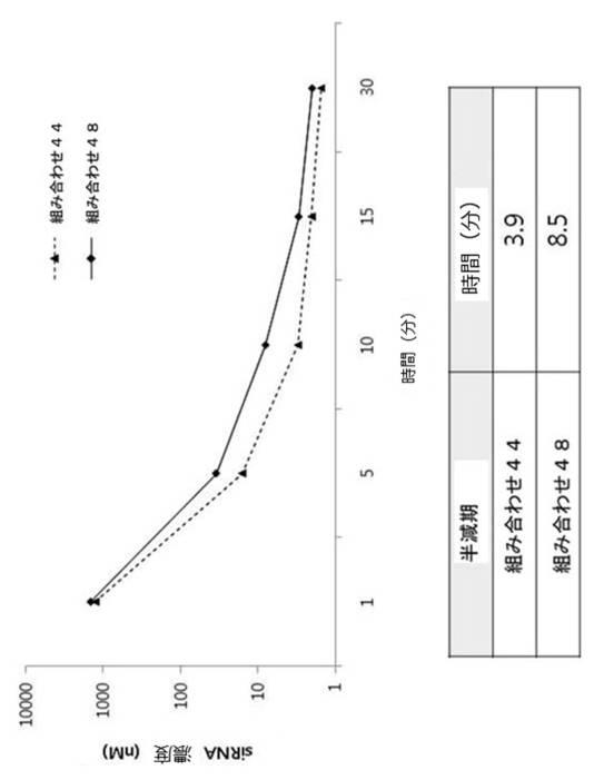 6727381-ＨＰＶ感染に係わる癌の治療用組成物 図000028