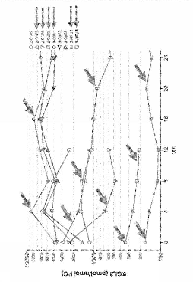 6752270-ＥＲＴナイーブ患者及びＥＲＴ経験患者におけるファブリー病の処置 図000028