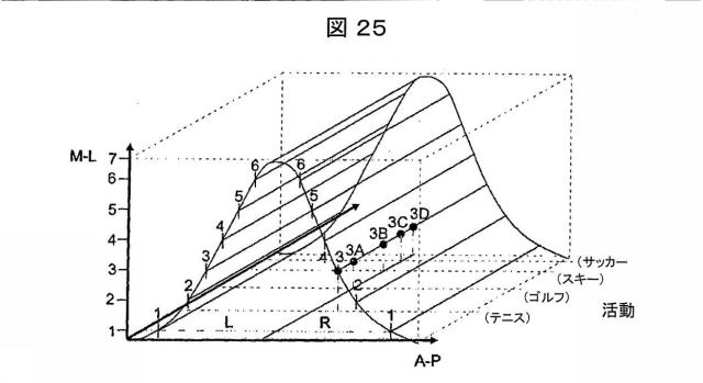 6979445-患者の関節用の整形外科インプラントの位置合わせをモデル化するためのコンピュータ装置の作動方法およびコンピュータ装置 図000028