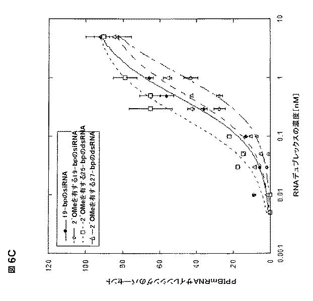 5697993-修飾ＲＮＡｉポリヌクレオチドおよびその使用 図000029