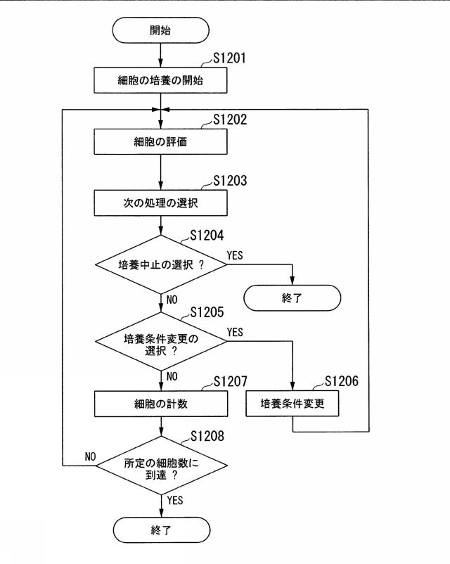 5816415-細胞評価装置、インキュベータ、プログラム、および、培養方法 図000029