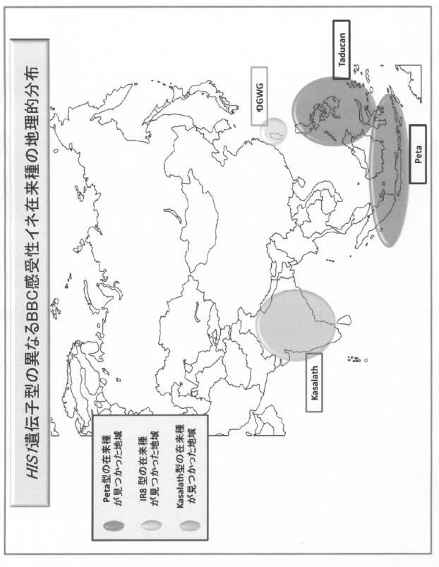 5977605-４−ＨＰＰＤ阻害剤に対する感受性を判定する方法 図000029