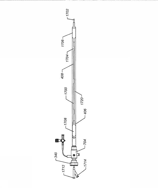 6069392-拡張可能な腸骨シースと使用方法 図000029