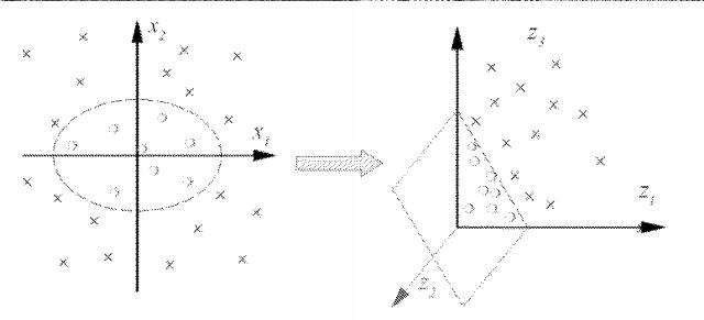 6193225-肝線維症検出装置および検出システム 図000029