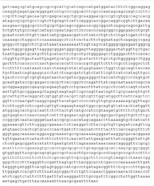 6259766-フラタキシンレベルを増加させる方法および生成物ならびにその使用 図000029