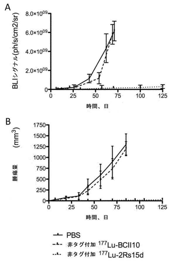 6289733-癌の予防及び／又は治療に用いるための放射標識抗体断片 図000029