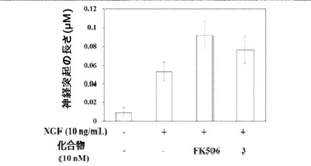 6370490-免疫抑制活性なしに神経再生活性が維持されるＦＫ５０６誘導体及びその用途 図000029