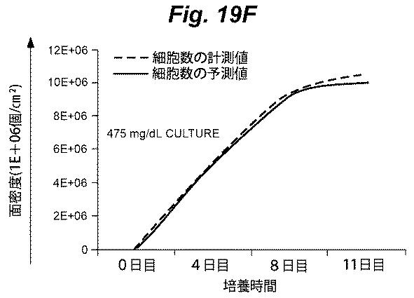 6386447-養子細胞療法のための改良された細胞培養法 図000029