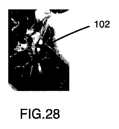 6396310-第一レンダリング投影と第二レンダリング投影との間のトランジションをユーザーに表示するための方法および装置 図000029