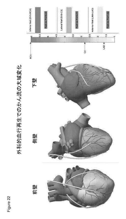 6561180-血管造影及びかん流の定量化並びに解析手法 図000029