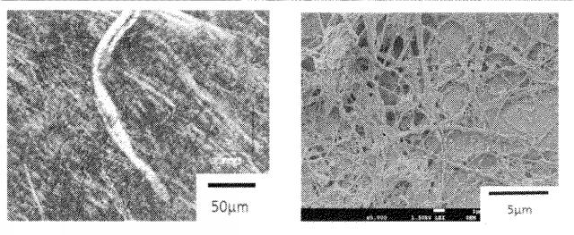 6775160-疎水化セルロース系繊維用の解繊助剤、それを使用する樹脂組成物の製造方法並びに成形体 図000029